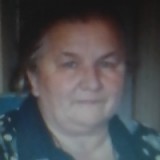 lyudmila-vysotina