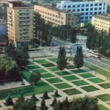 nen-si