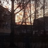 dilyara-andrejeva
