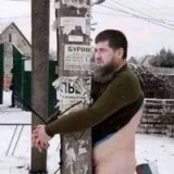 don-kadyrov