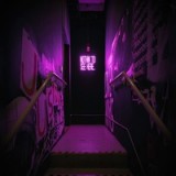 radik-iskenderov