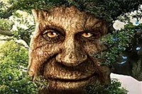 afirizek