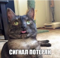 11122