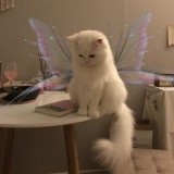 violetta-smirnova