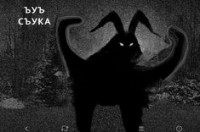 EVA.AAAAA