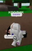 KOKAUNSMEFOM