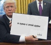 msk4irn