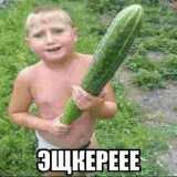 KleverQe