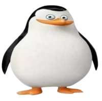 Nonameee228
