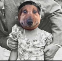 DenisHitler