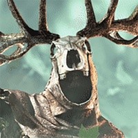 Leshy