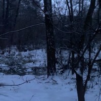 mira-murkinova