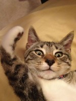 Heranuka