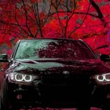 six-shadow