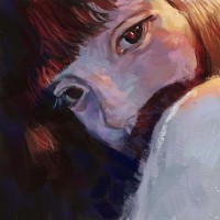 Gofi04