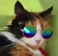 Cosmoaleks