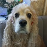 aleksandra-slobodenyuk