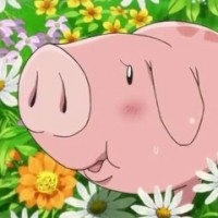 terryschka